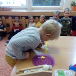 phoca_thumb_m_zajci a vtr 53 Fotogalerie